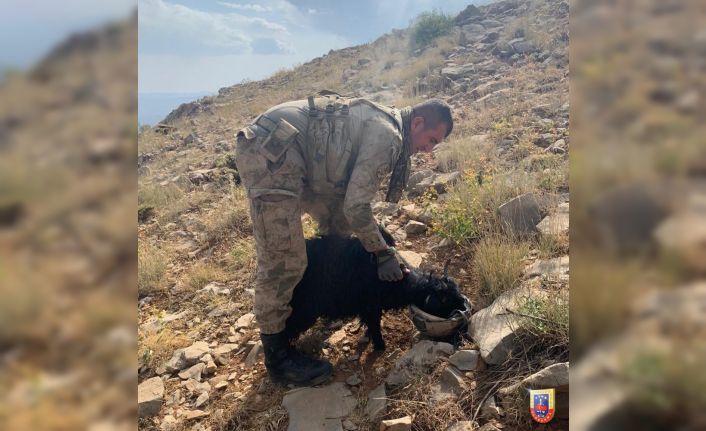 Mehmetçikten duygulandıran hareket