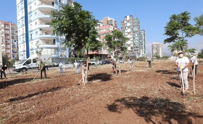 Mezitli’de Avrupa Hareketlilik Haftası’nda ağaçlara bakım yapıldı