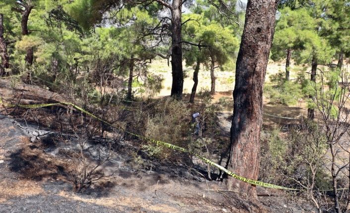 Ormanda yanmış halde cesedi bulunan eski CHP ilçe başkanının katil zanlısı yakalandı