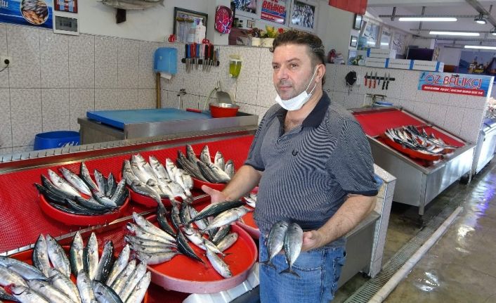 Palamutun fiyatı yüz güldürüyor, istavrit ve mezgitin fiyatı ise üzüyor