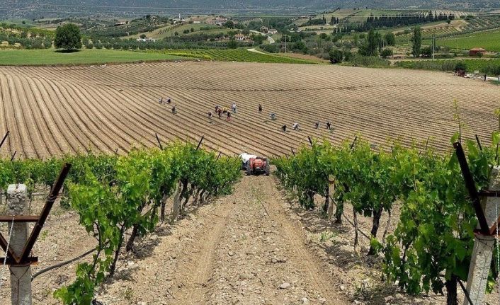 Salihlili fotoğrafçı, 3 ödül birden kazandı