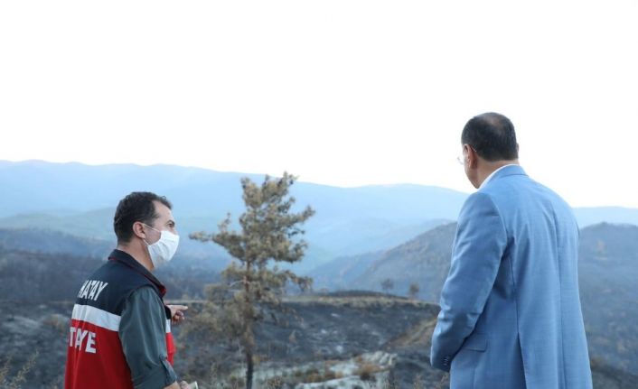 Savaş: "3 bin hektarlık alandaki yangında ağaçlarımızı ve birçok canlıyı kaybettik"