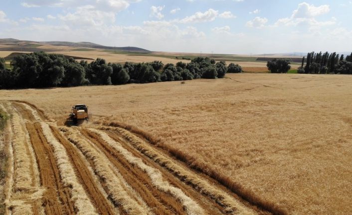 Sertifikalı tohum verimi yüzde 30 artırıyor
