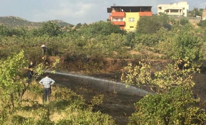 Siirt’te bahçede çıkan yangın evlere sıçramadan söndürüldü