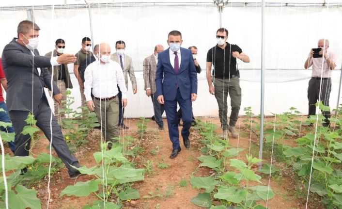 Siirt’te son 5 yılda tarım alanına 260 milyon lira destek verildi