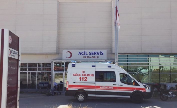 Silvan’da ikisi 1 yaşındaki çocuk olmak üzere 22 kişide korona virüs tespit edildi