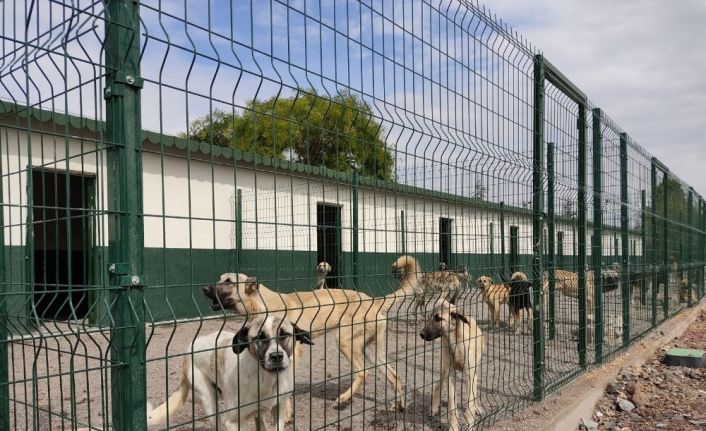 Sincan Geçici Bakım Evi ve Rehabilitasyon Merkezi yakında hizmete girecek