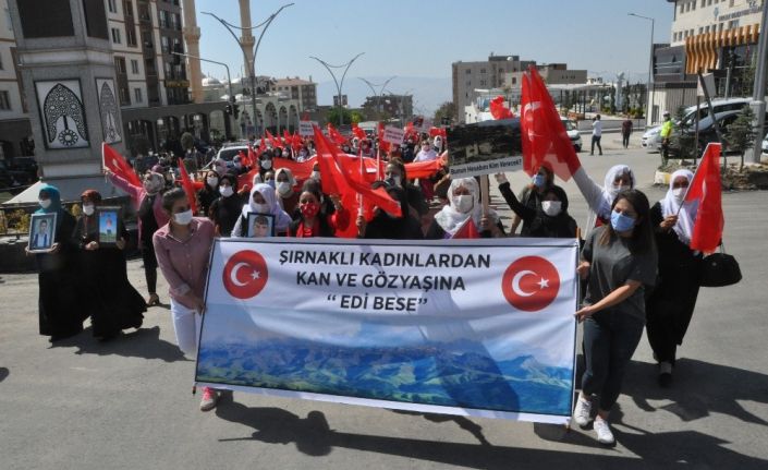 Şırnaklı kadınlar HDP binasına yürüyerek kan ve gözyaşına ‘Edi bese’ dedi