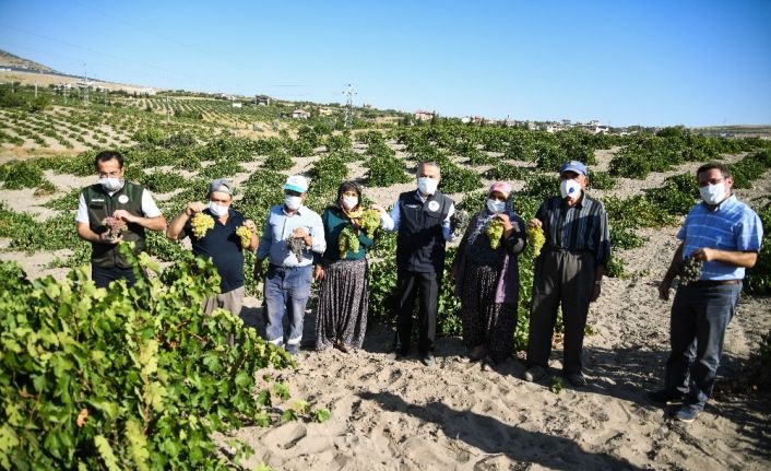 Tarım ve Orman İl Müdürü Mustafa Şahin: “Kayseri bağcılıkta da olması gereken yere gelecek”