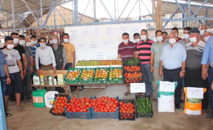 Tarlada 40 kuruşa düşen domatesin kilosu markette 2.4 liradan başlıyor