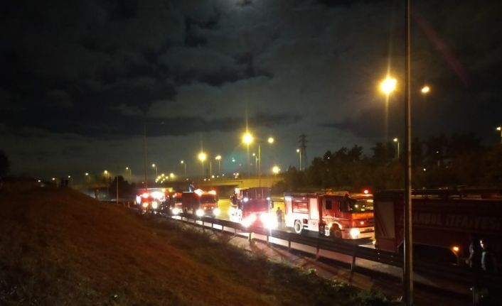 TEM Otoyolu kenarındaki ormanlık alanda çıkan yangın itfaiye ekiplerini harekete geçirdi