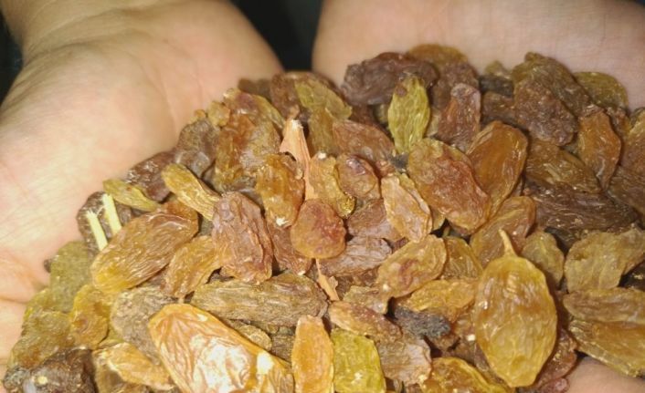 TMO, Buldanlı üzümcüleri rahatlattı