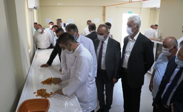 TMO ilk kayısı alımını yaptı