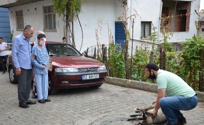 Torpilden gözünü kaybeden çocuk taburcu oldu, dedesi onun için koyun kesti