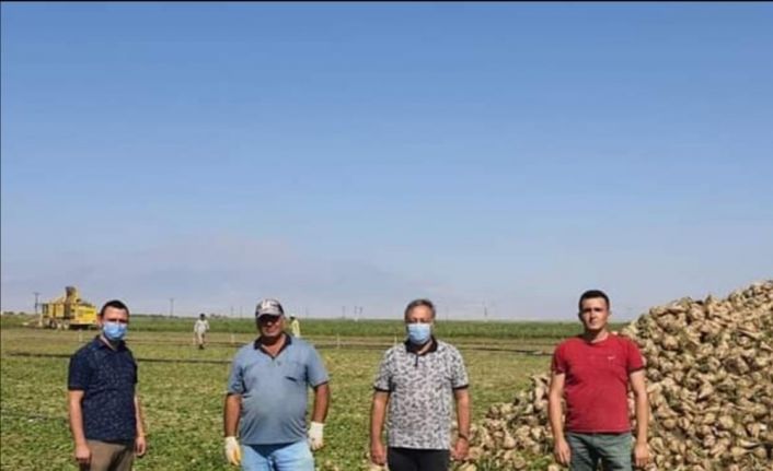 Yeşilhisar’da pancar hasadı başladı