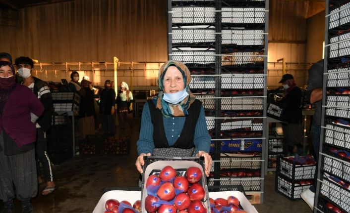 78 yaşındaki işçi çavuşu Şerife nine, pandemi döneminde çalışabilmek için validen izin istedi