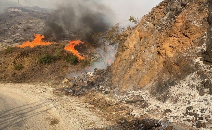 Adana’daki orman yangınına müdahale sürüyor