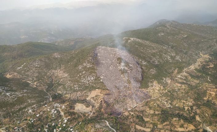 Alanya’daki orman yangınında 6 hektarlık  makilik alan zarar gördü