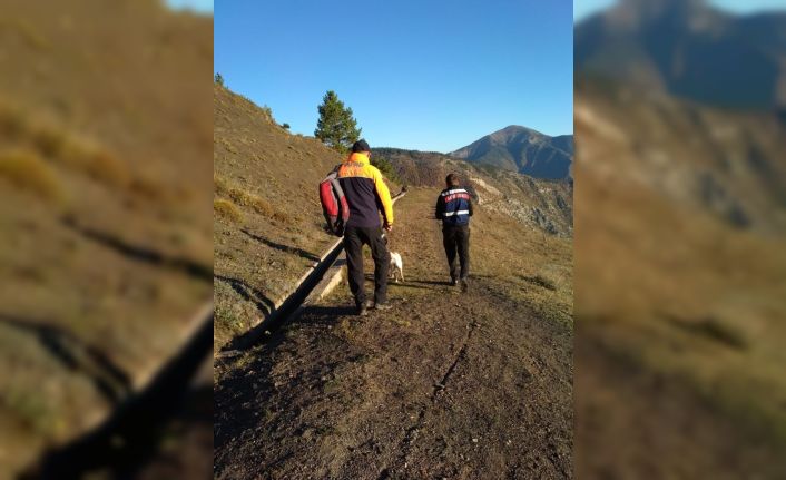 Artvin’de çam sakızı toplamak için ormana giden yaşlı adam ölü bulundu