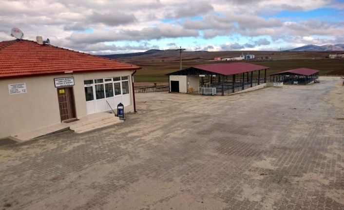 Aslanapa’da hayvan pazarı ve ilçe halk pazarı kapatıldı