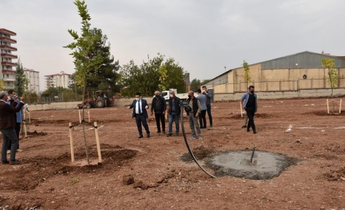 Bağlar, yeni nefes alanlarıyla güzelleşiyor