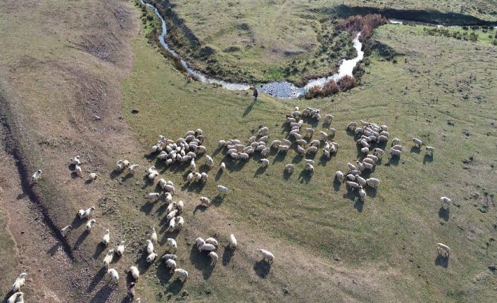 Besiciler yaylalarda son günlerini geçiriyor