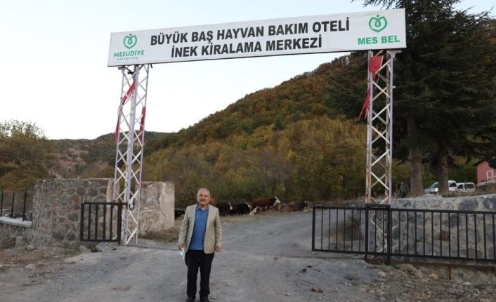 Besicilerin tercihi Hayvan Bakım Oteli