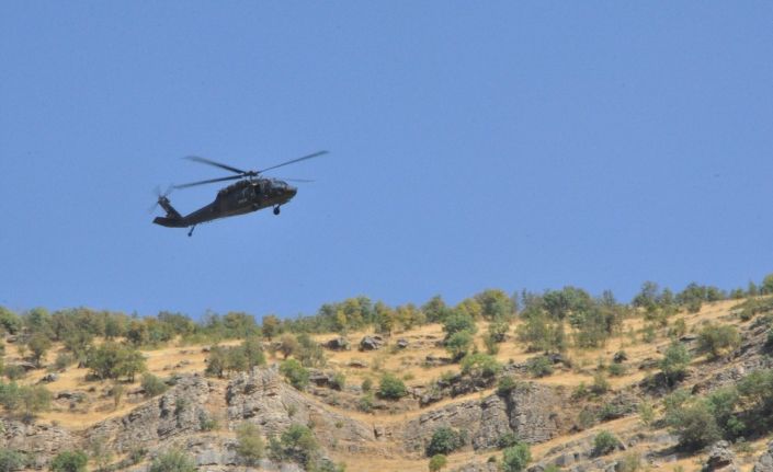 Bestler Dereler bölgesinde kış üstlenmesi hazırlığındaki teröristlere operasyon