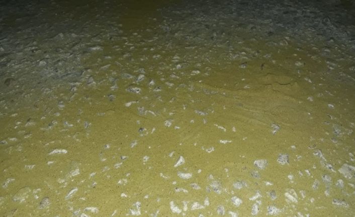 Bursa’da yanlarındaki esrarı yola döktüler; 2’si kadın 3 kişi gözaltına alındı