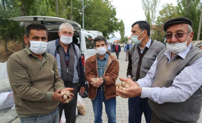 Çameli’nin yerli ceviz ve fasulyesi ilgi görmeye devam ediyor