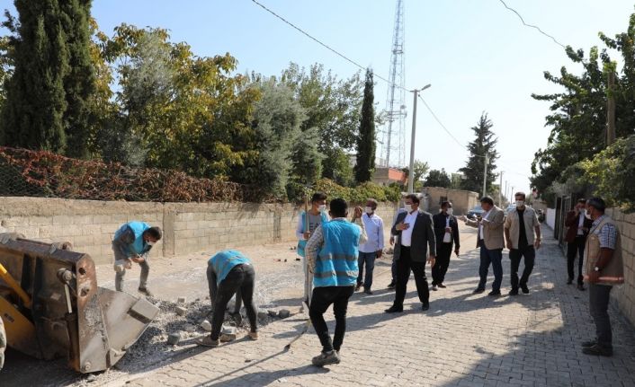 Canpolat çalışmaları yerinde inceledi