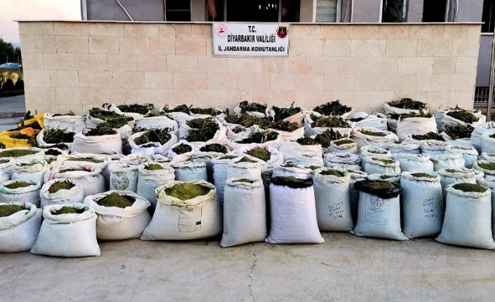 Diyarbakır’da 2 ton 628 kilo esrar ile 826 bin kök kenevir ele geçirildi