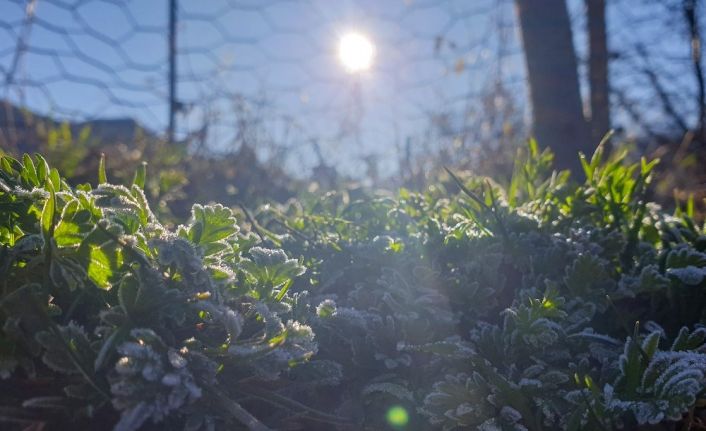 Doğu’da hava sıcaklığı mevsim normalleri üzerinde seyrediyor