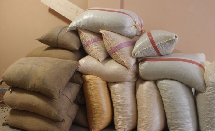 Eylül ayı içerisinde 33 bin 471 ton fındık ihraç edildi