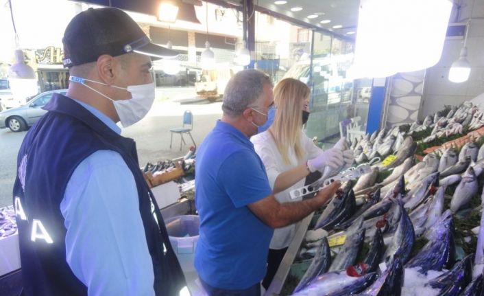 Gebzeli balıkçılar zabıta tarafından denetlendi