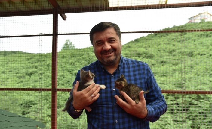 Giresun Belediyesi Hayvan Barınağı, sokak hayvanlarına güvenli bir barınak oluyor