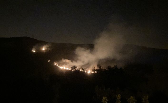 Hatay’da yangın kontrol altına alındı