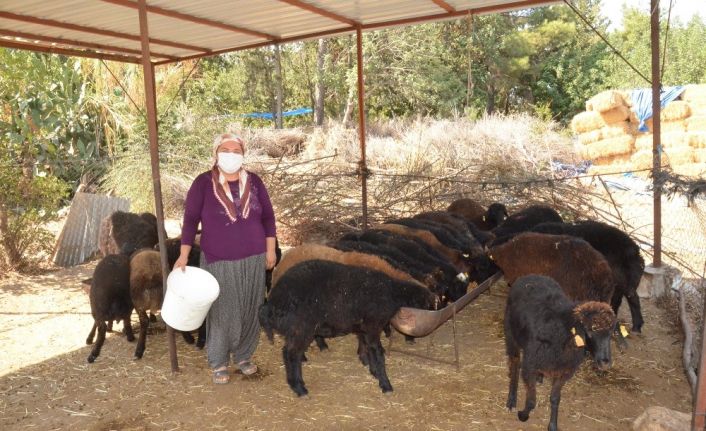’Haydi Gel Köyümüze Destek Verelim Projesi’ kadınların ve gençlerin umudu oldu