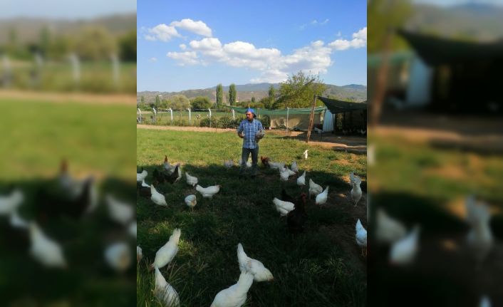 Hobi olarak başladı, çiftlik sahibi oldu