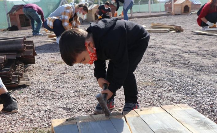 İlçe halkı sokak hayvanları için seferber oldu: 7’den 70’e gönüllü vatandaş kulübe yaptı