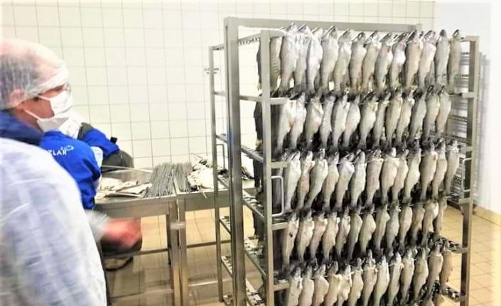 İşletmeler ve pazar yerlerinde balık denetimi yapıldı