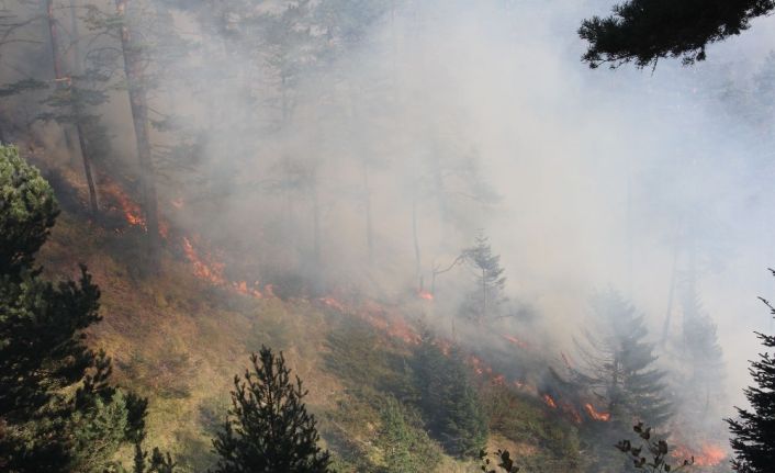 Kastamonu’da iki farklı noktada 3 gündür devam eden orman yangını söndürülemiyor