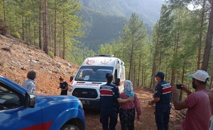 Kayıp kadın 10 gün sonra ormanda sağ olarak bulundu