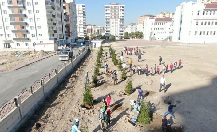 Kocasinan Belediyesi, ağaç dikimiyle geleceğe nefes oluyor