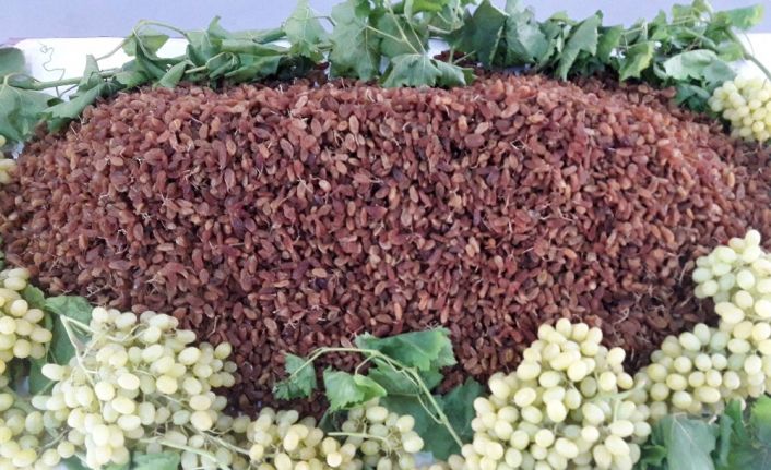 Kuru meyve sektöründe üzüm, incir ve kayısı ihracatı 1 milyar doları aştı