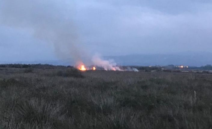 Kuş Cenneti sazlık alanda yangın