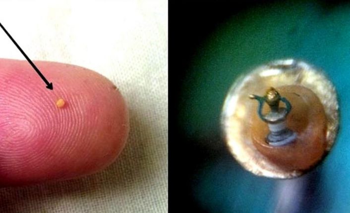 Kuşadası’nda milimetrik boyutlarda 42 mikro minyatür eser sergileniyor