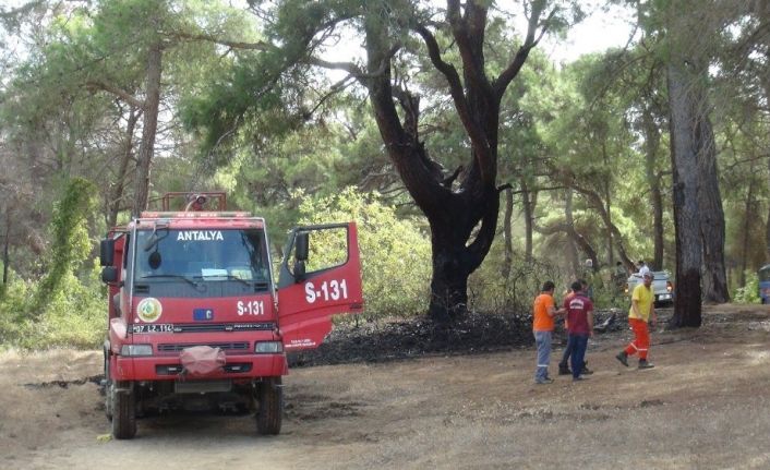 Manavgat’a 3 günde 6 orman yangını