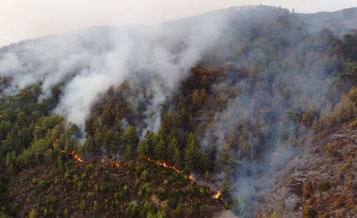 Mersin’deki yangın drone ile havadan görüntülendi