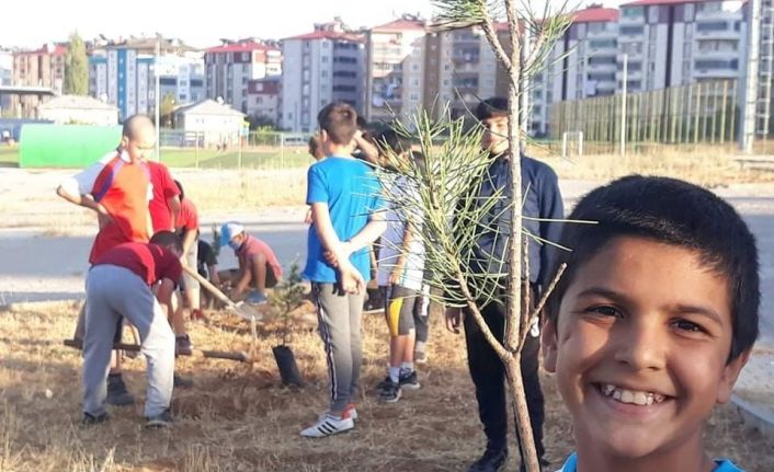 Minik güreşçiler çam fidanı dikti
